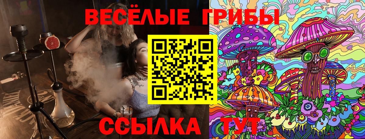 Псилоцибиновые грибы прущие грибы  Вход с VPN  Малгобек 