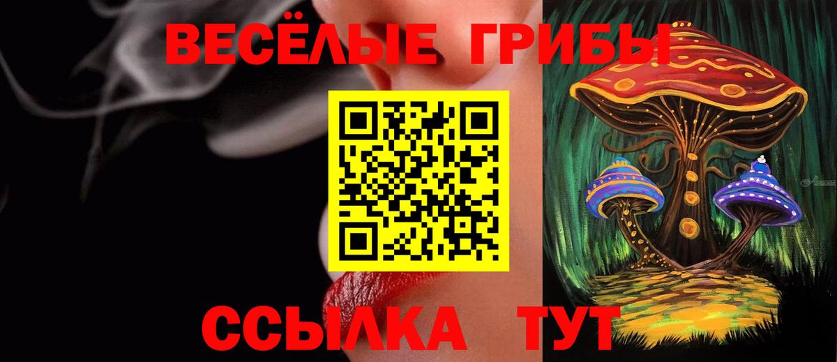 Псилоцибиновые грибы Psilocybe Малгобек